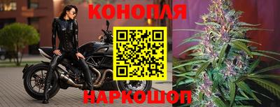 тгк Краснокаменск
