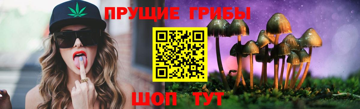 Псилоцибиновые грибы MAGIC MUSHROOMS Камень-на-Оби